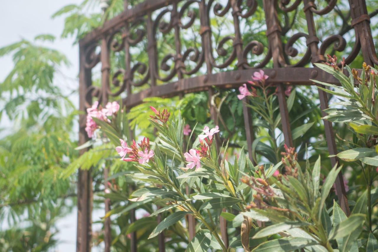 Vinauberge Poilhes Eksteriør billede